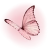 🦋