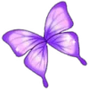 🦋