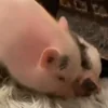 😘