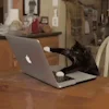 👩‍💻