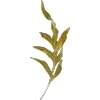 🌱