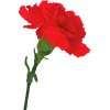 💐