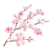 🌸