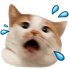 😱