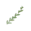 🌿