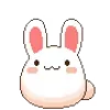 🐰