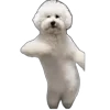 🕺