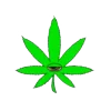 🍃