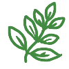 🌿