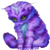🐱