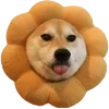 🐕