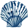 🐚