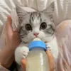 🐾