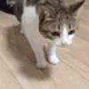 😲