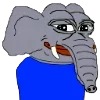 🐘