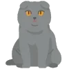 🐈