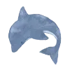 🐬
