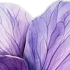 💜