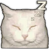 😴