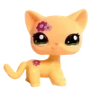 🌟