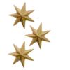 ✨