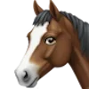 🐎
