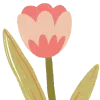 🌷