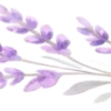 💜
