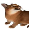 🫠