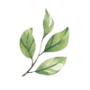🌱