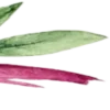🌱