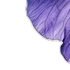 💜