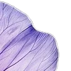 💜