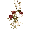 🥀