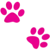 🐾