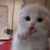 😛