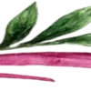🌱
