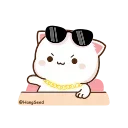 😎