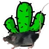 🐁