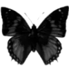 🦋