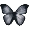 🦋