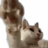 🫸