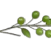 🌱
