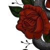 🐍