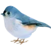 🫂
