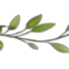 🌱