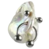 🐚