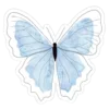 🦋