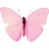 🦋
