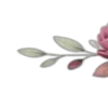 🌱